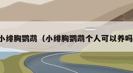 小绯胸鹦鹉（小绯胸鹦鹉个人可以养吗）
