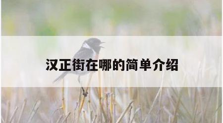 汉正街在哪的简单介绍