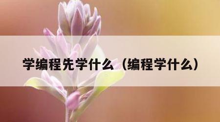 学编程先学什么（编程学什么）
