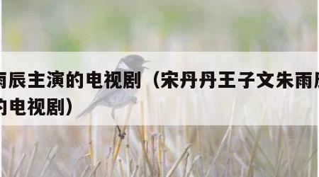 朱雨辰主演的电视剧（宋丹丹王子文朱雨辰主演的电视剧）