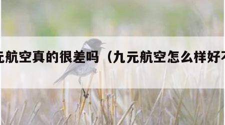 九元航空真的很差吗（九元航空怎么样好不好）