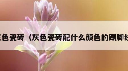 灰色瓷砖（灰色瓷砖配什么颜色的踢脚线）