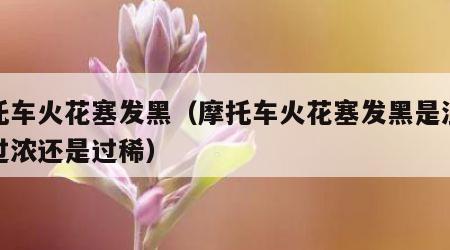 摩托车火花塞发黑（摩托车火花塞发黑是混合气过浓还是过稀）