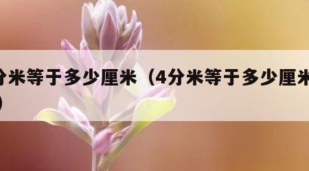 4分米等于多少厘米（4分米等于多少厘米答案）