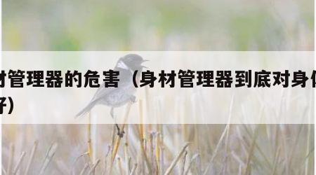 身材管理器的危害（身材管理器到底对身体好不好）