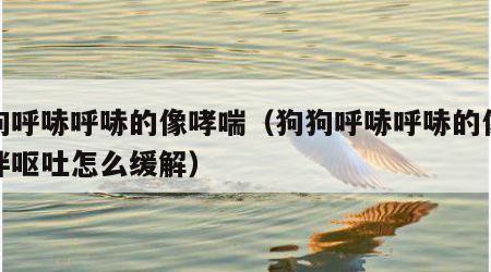 狗狗呼哧呼哧的像哮喘（狗狗呼哧呼哧的像哮喘伴呕吐怎么缓解）