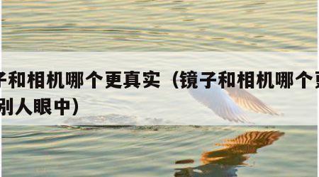镜子和相机哪个更真实（镜子和相机哪个更真实 别人眼中）