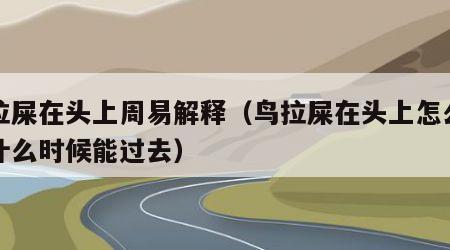 鸟拉屎在头上周易解释（鸟拉屎在头上怎么化解什么时候能过去）