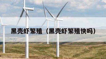 黑壳虾繁殖（黑壳虾繁殖快吗）