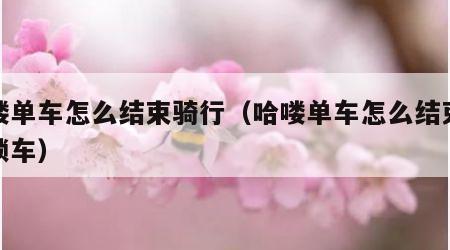 哈喽单车怎么结束骑行（哈喽单车怎么结束骑行锁车）