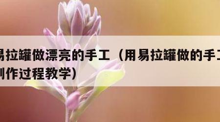 用易拉罐做漂亮的手工（用易拉罐做的手工作品制作过程教学）