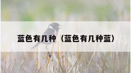 蓝色有几种（蓝色有几种蓝）