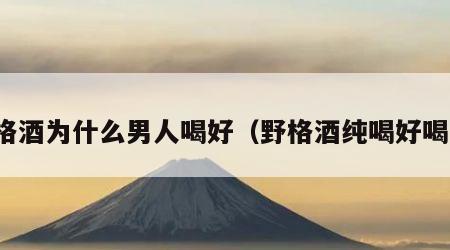 野格酒为什么男人喝好（野格酒纯喝好喝吗）
