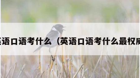 英语口语考什么（英语口语考什么最权威）
