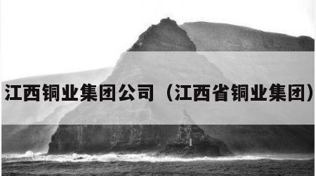 江西铜业集团公司（江西省铜业集团）