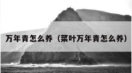 万年青怎么养（菜叶万年青怎么养）