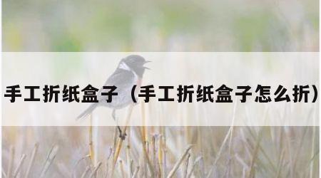 手工折纸盒子（手工折纸盒子怎么折）