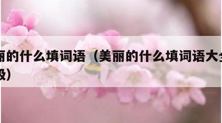 美丽的什么填词语（美丽的什么填词语大全一年级）