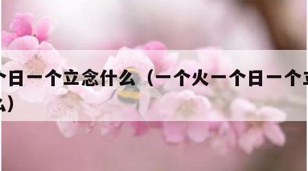 一个日一个立念什么（一个火一个日一个立念什么）