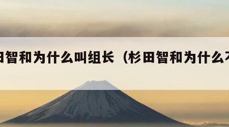 杉田智和为什么叫组长（杉田智和为什么不结婚）