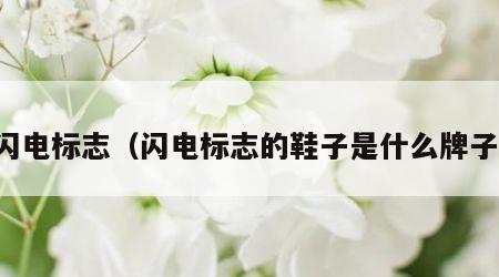 闪电标志（闪电标志的鞋子是什么牌子）