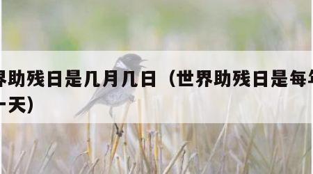 世界助残日是几月几日（世界助残日是每年的哪一天）