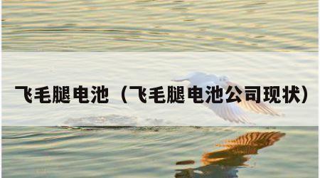 飞毛腿电池（飞毛腿电池公司现状）