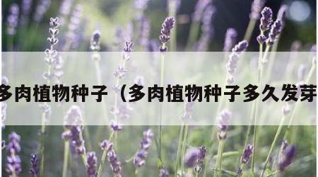 多肉植物种子（多肉植物种子多久发芽）