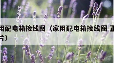 家用配电箱接线图（家用配电箱接线图 正规图片）