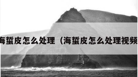 海蜇皮怎么处理（海蜇皮怎么处理视频）