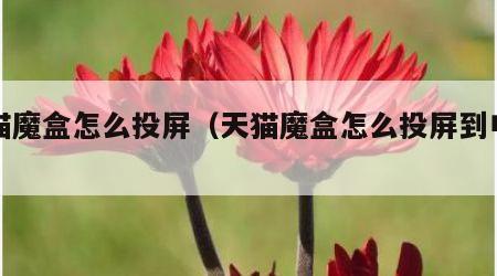 天猫魔盒怎么投屏（天猫魔盒怎么投屏到电视上）