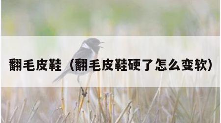 翻毛皮鞋（翻毛皮鞋硬了怎么变软）