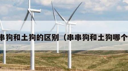 串串狗和土狗的区别（串串狗和土狗哪个好）