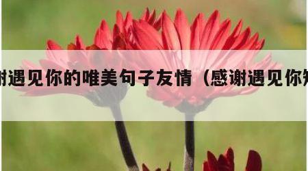感谢遇见你的唯美句子友情（感谢遇见你短句）