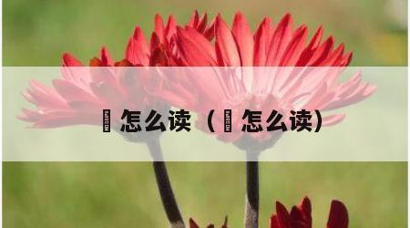 朤怎么读（燚怎么读）