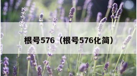 根号576（根号576化简）