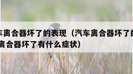 汽车离合器坏了的表现（汽车离合器坏了的表现,离合器坏了有什么症状）
