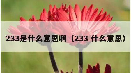 233是什么意思啊（233 什么意思）