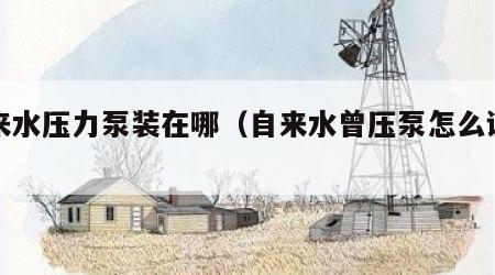 自来水压力泵装在哪（自来水曾压泵怎么调压力）