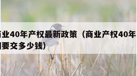商业40年产权最新政策（商业产权40年到期要交多少钱）