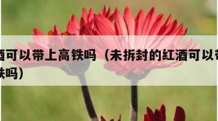 红酒可以带上高铁吗（未拆封的红酒可以带上高铁吗）