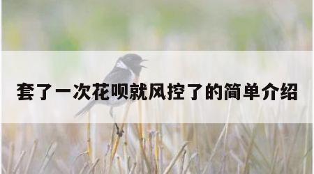 套了一次花呗就风控了的简单介绍