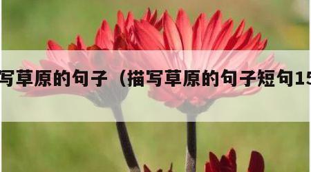 描写草原的句子（描写草原的句子短句15字）