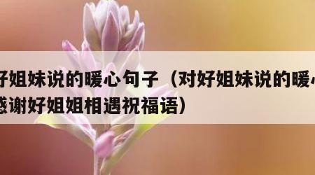 对好姐妹说的暖心句子（对好姐妹说的暖心句子感谢好姐姐相遇祝福语）
