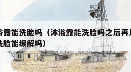 沐浴露能洗脸吗（沐浴露能洗脸吗之后再用清水洗脸能缓解吗）