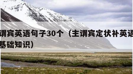 主谓宾英语句子30个（主谓宾定状补英语语法基础知识）