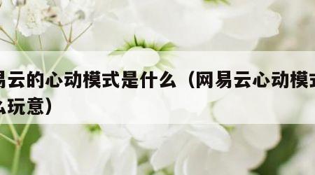 网易云的心动模式是什么（网易云心动模式是什么玩意）