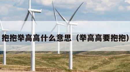 抱抱举高高什么意思（举高高要抱抱）