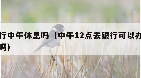 建行中午休息吗（中午12点去银行可以办业务吗）