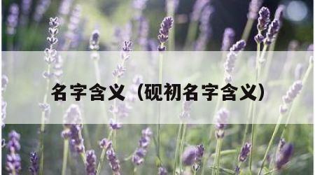 名字含义（砚初名字含义）